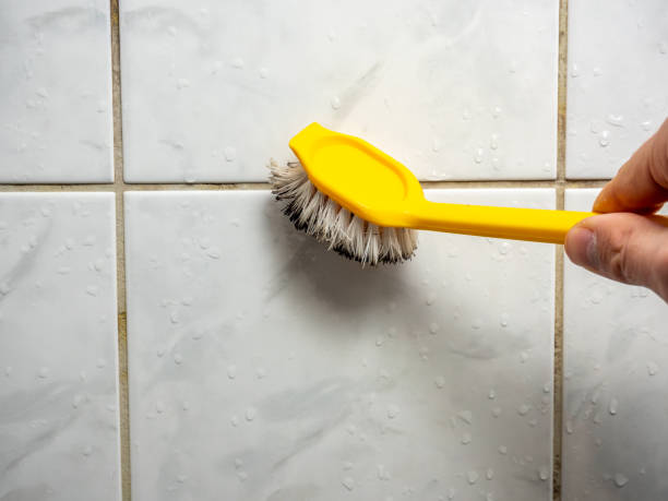 Best Toxic Mold Removal  in Clarkson Valley, MO